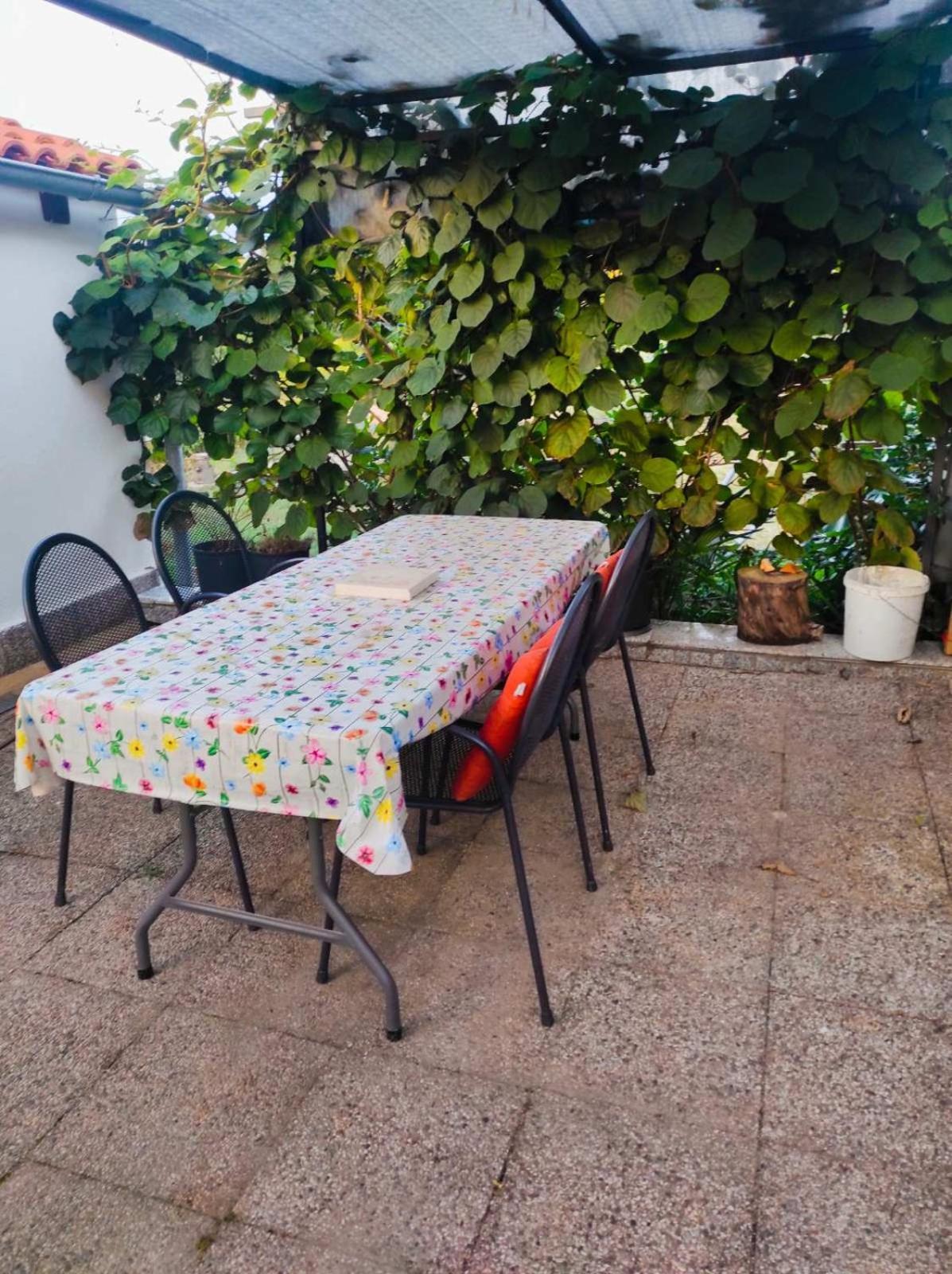 Apartman Jenny-Porec Kosinozici Esterno foto