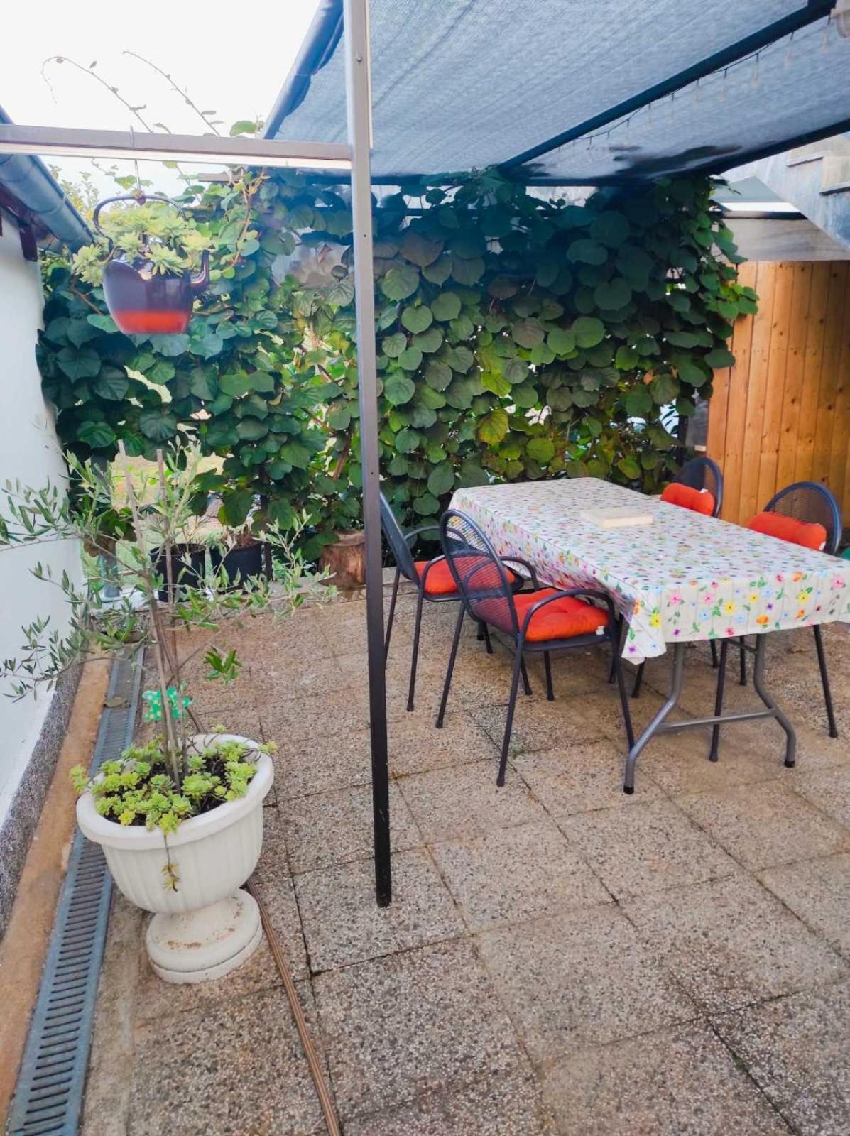 Apartman Jenny-Porec Kosinozici Esterno foto