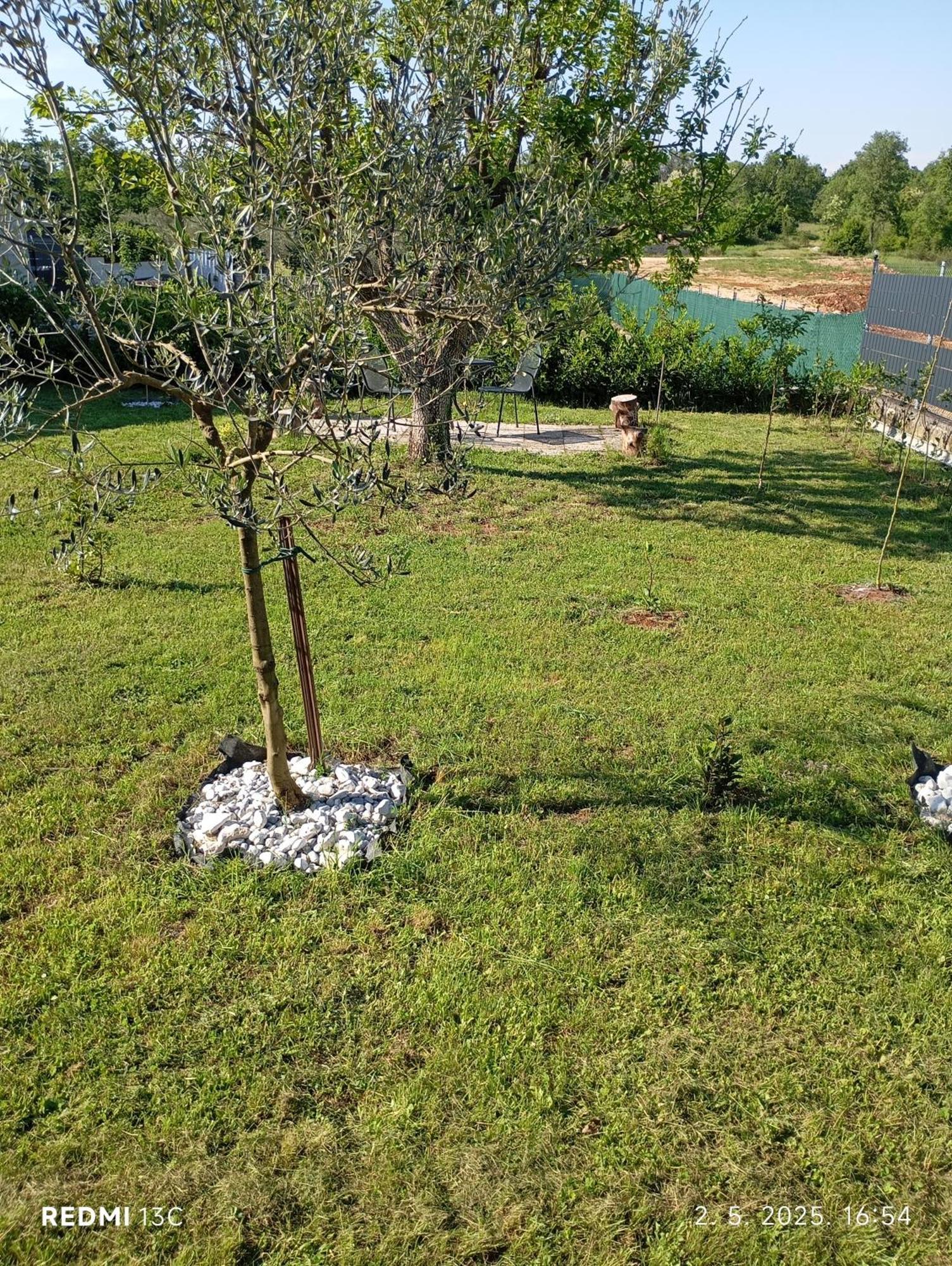 Apartman Jenny-Porec Kosinozici Esterno foto